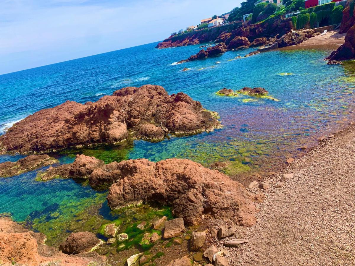 La Belle Vue-Charming Duplex Apartment With Sea View, 50 Meters From Beach And Private Parking Сен-Рафаель Екстер'єр фото